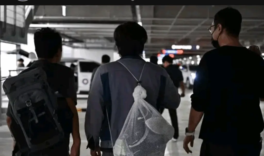 screenshot_20251114-061905