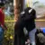 Autoridades investigan un ataque en un Centro Islámico en California