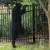 Alerta por la presencia de un oso en Atlanta