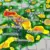 Alerta de tormentas en el area metropolitana de Atlanta