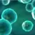 Actualización sobre la ciclosporiasis en Georgia Actualización sobre la ciclosporiasis en Georgia