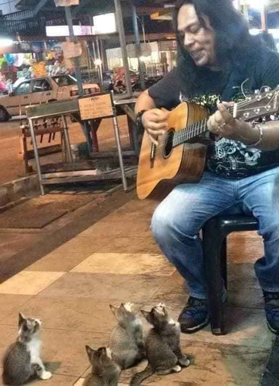 street-singer-was-ignored-by-everyone-then-4-kittens-came-to-show-their-support-05