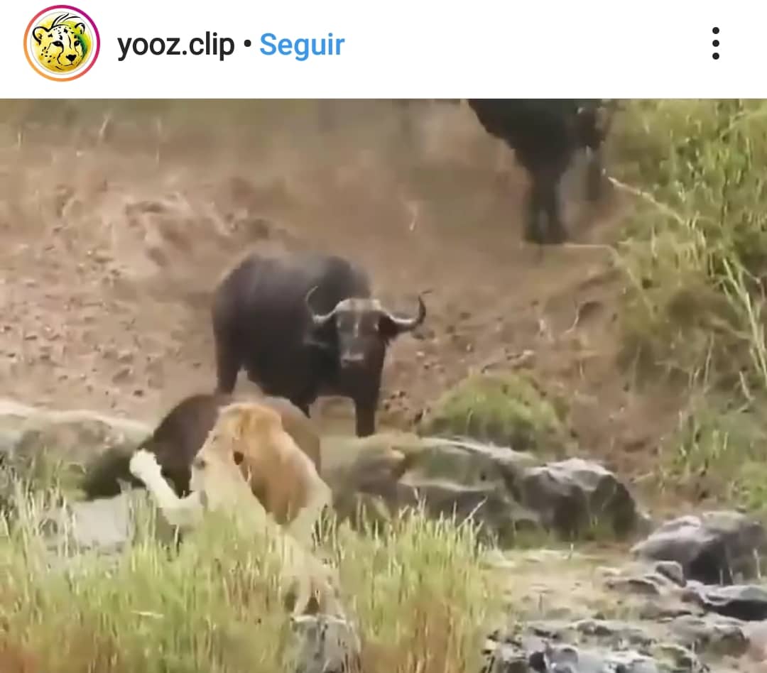 screenshot_20210104-105522_instagram