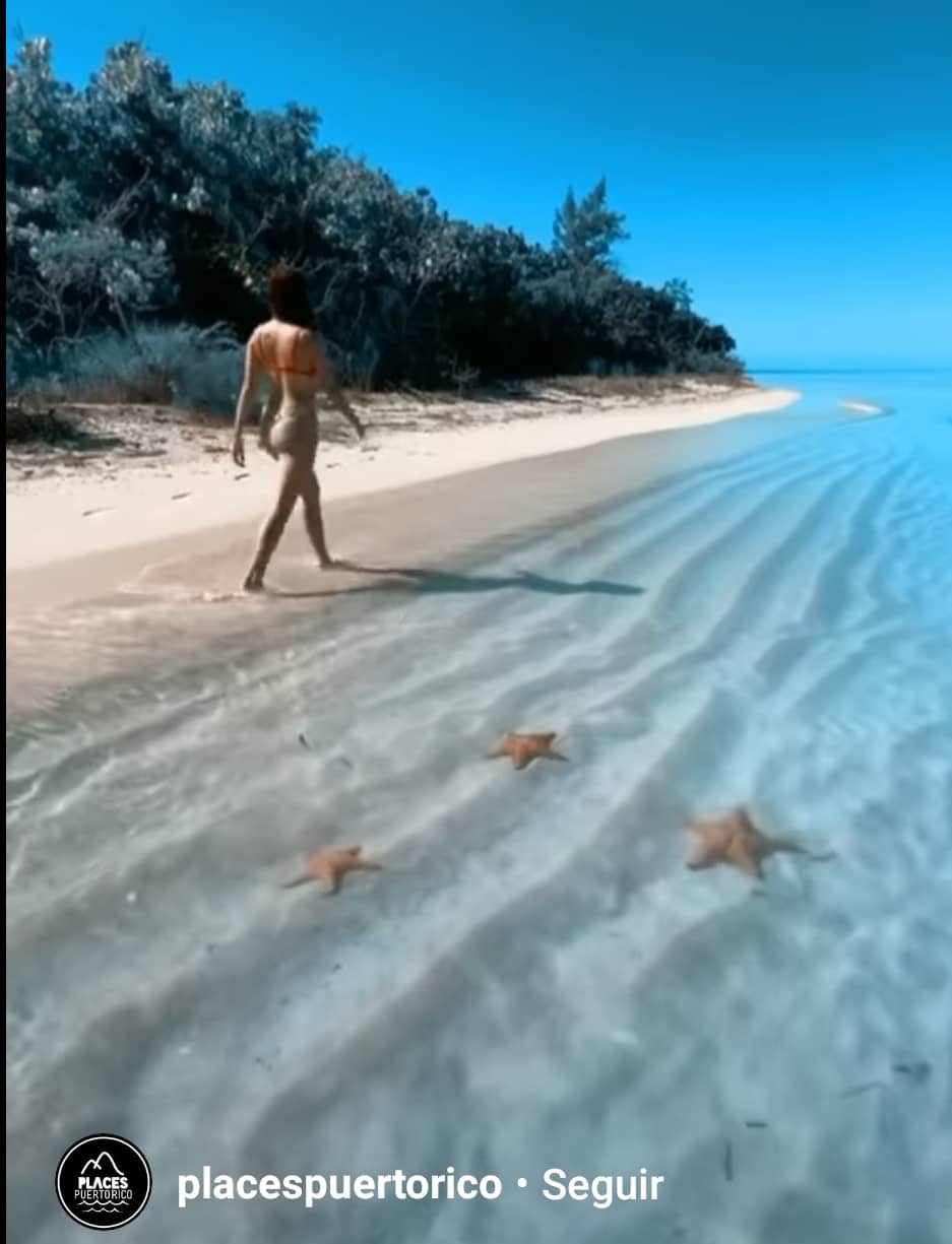 screenshot_20210203-064234_instagram