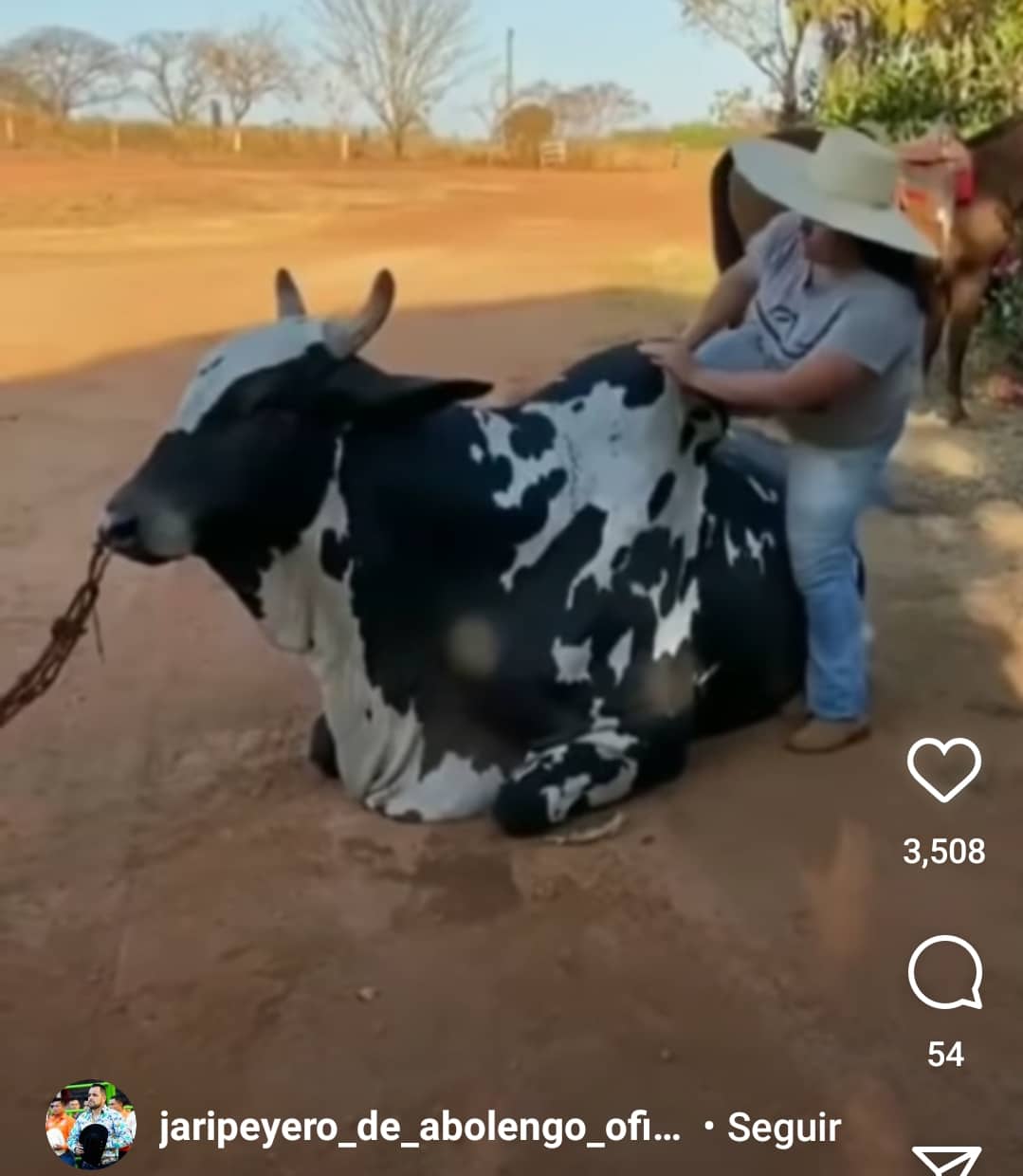 screenshot_20210210-130952_instagram