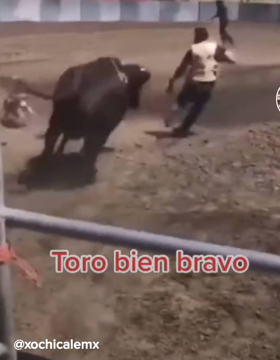 screenshot_20210218-143637_tiktok