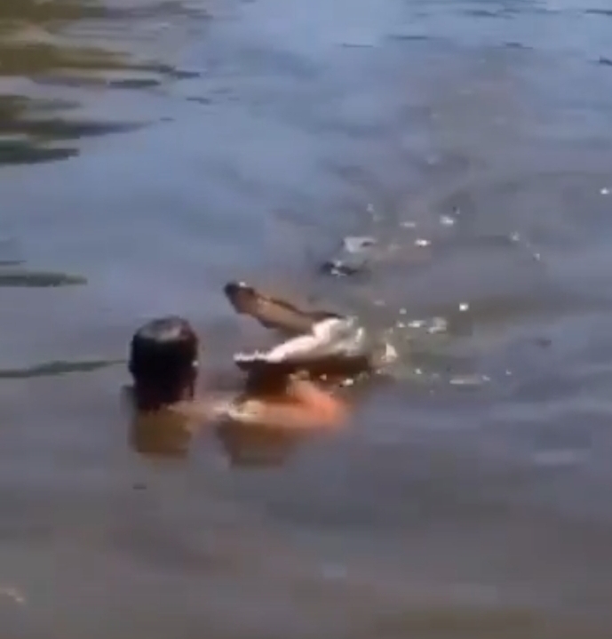 screenshot_20210702-115453_video-player