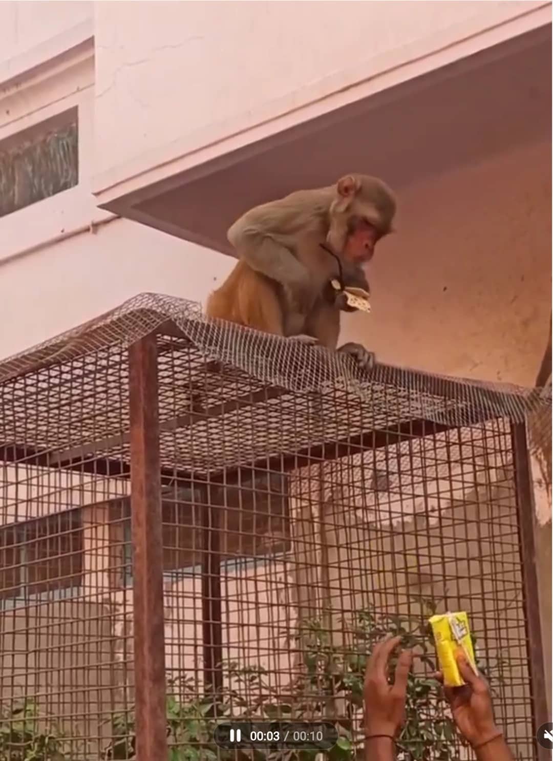 screenshot_20211105-083739_gallery