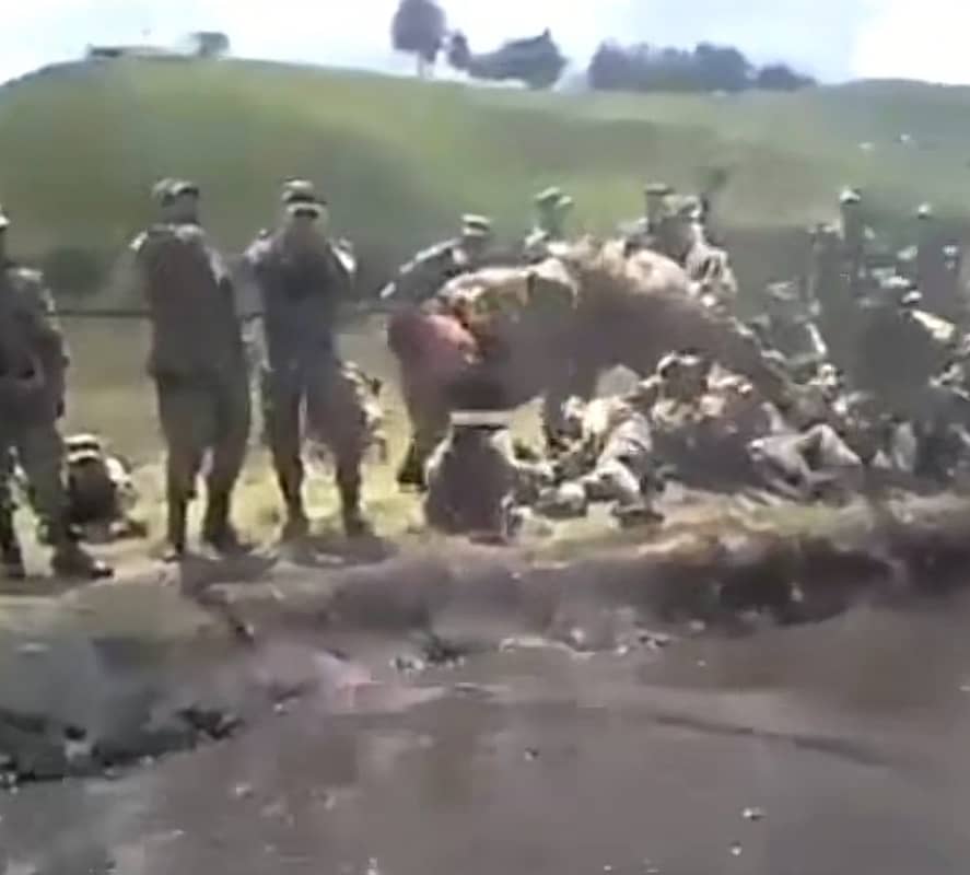 screenshot_20211109-093219_tiktok