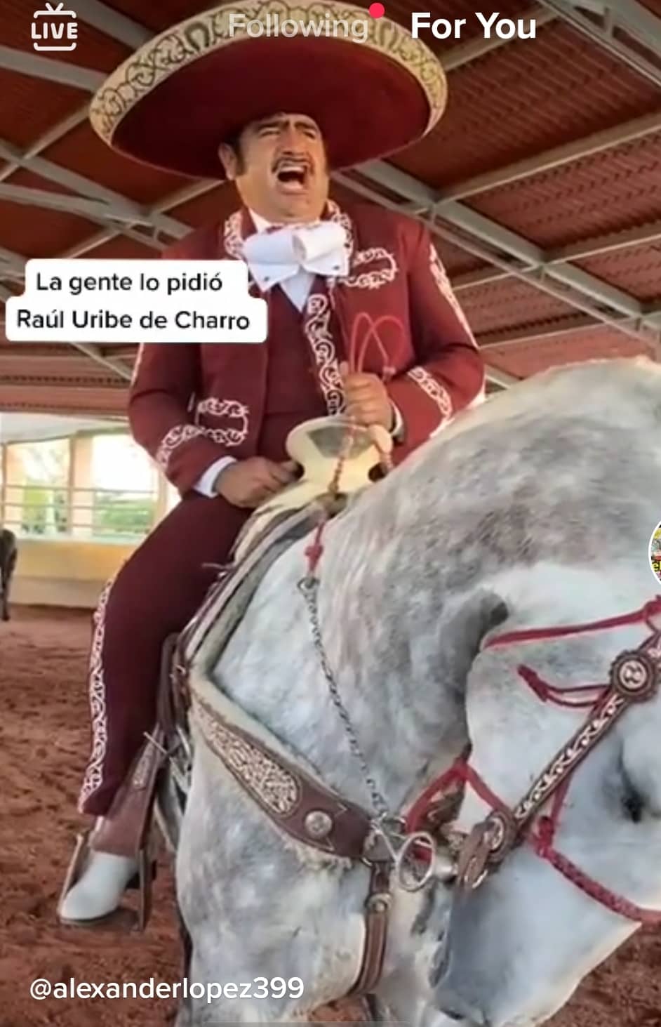 screenshot_20211227-093206_tiktok