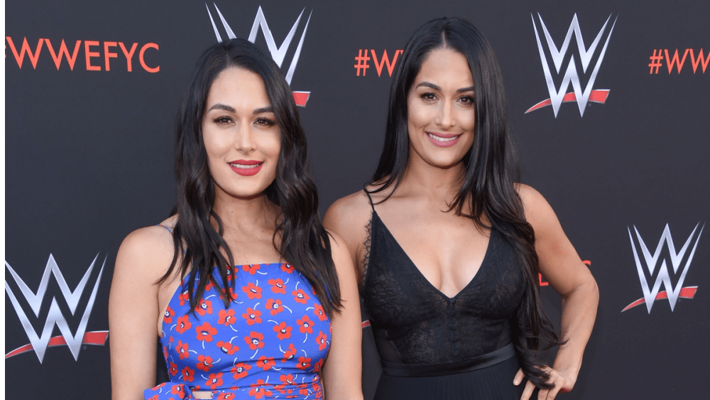 shutterstock_1118630666804566