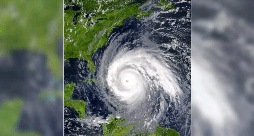 screenshot_20240624-082502