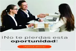 manager-digital-flyer