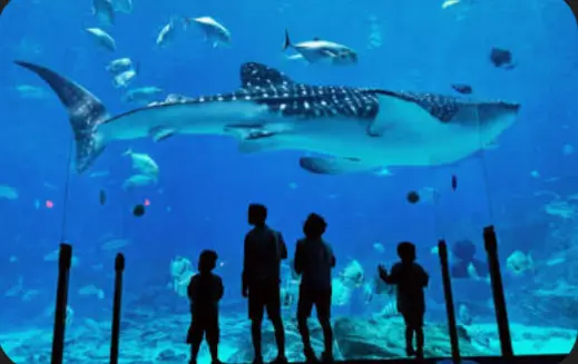 screenshot_20250825-081135