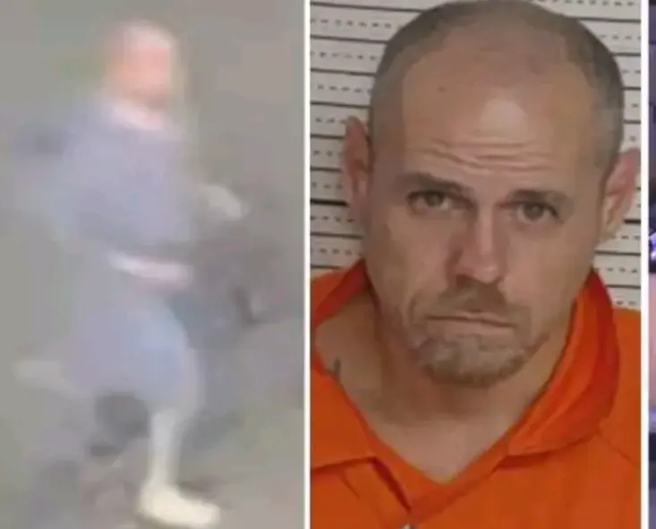 screenshot_20251201-081214