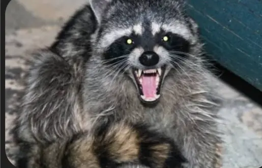 screenshot_20251201-082525