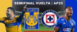 tigres-2