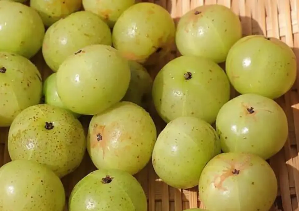 screenshot_20260113-092139