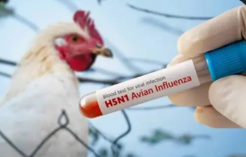 screenshot_20260114-145117