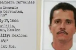 screenshot_20260222-144733