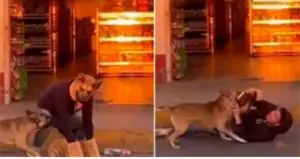 screenshot_20260224-081734