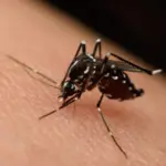 virus-2
