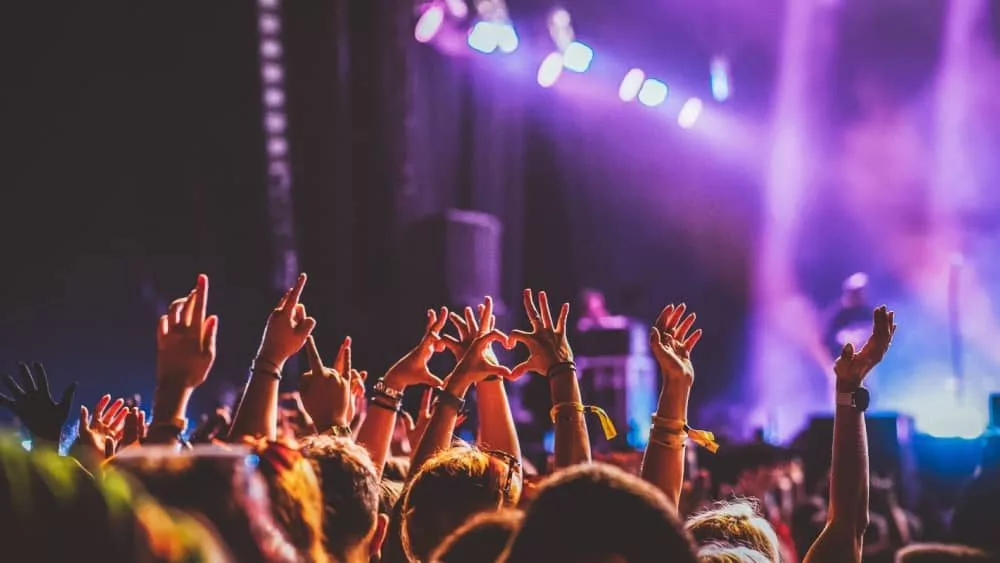 crowd watching rock concert