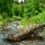 3 killed, including 2 children, in ‘unprecedented’ flooding in New Mexico