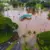 Hurricane Lala downgraded after lashing Hawaii, causing one fatality, damage and power outages