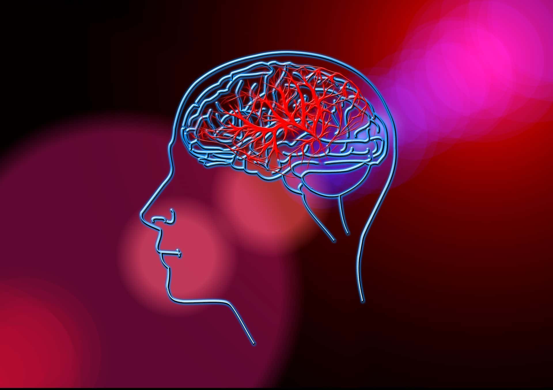 stroke-3233778_1920-jpg