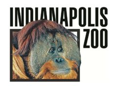 indianapolis-zoo-jpg
