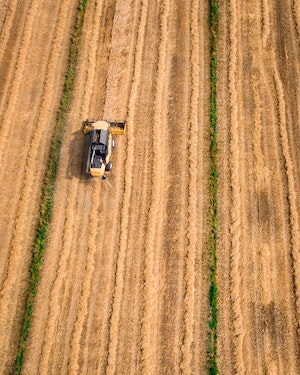 john-jack-edward-reeves-2