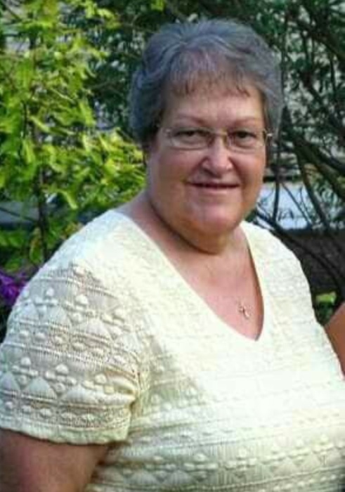 elaine-modesitt-collins