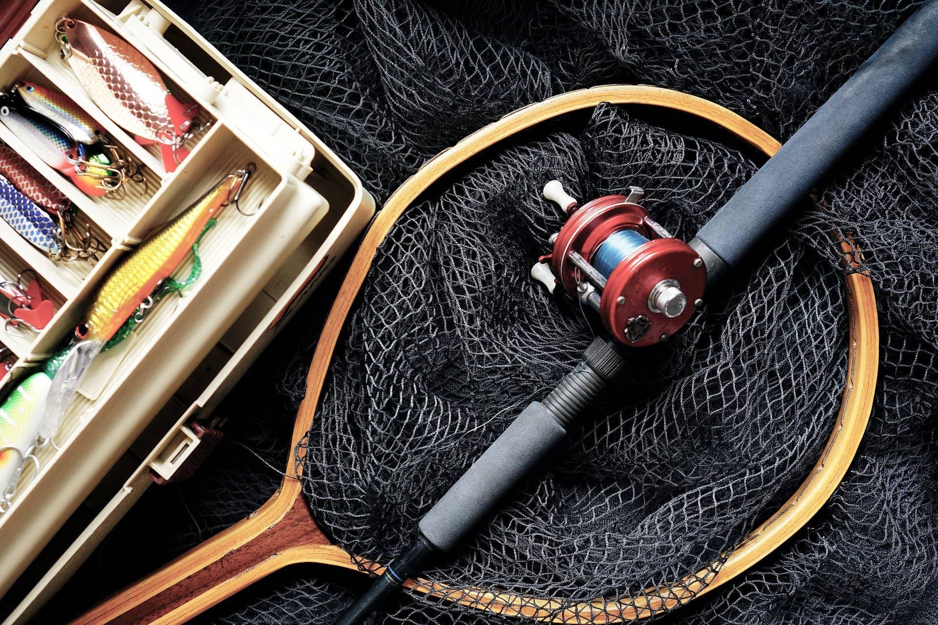 fishing-1572408_1920-image-by-thedigitalway-from-pixabay-jpg