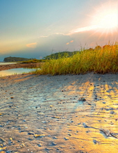 james-william-bill-garlit