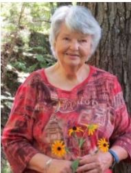 shirley-joann-knox