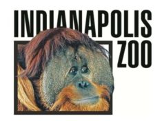indianapolis-zoo-jpg-5