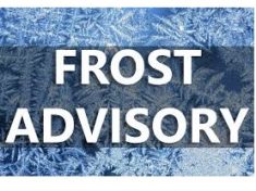 frost-advisory-jpg-5
