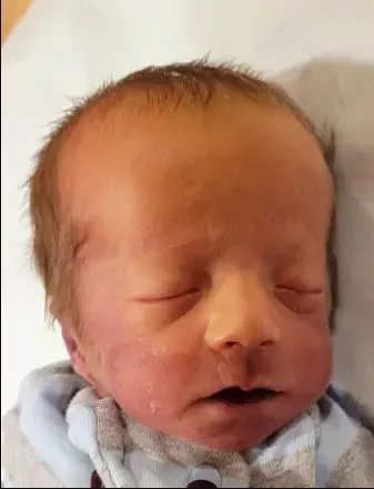 ryland-okley-volpatti