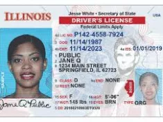 illinois-drivers-license-jpg-7