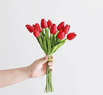 tulips-jpg