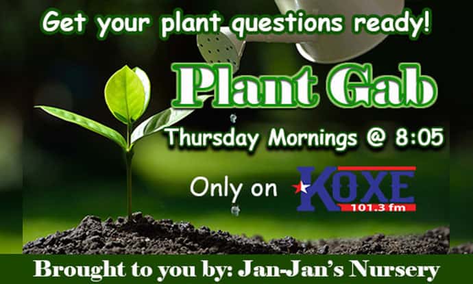 plant-gab-new-site