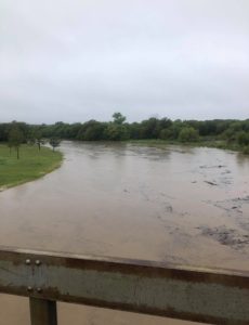 pecan-bayou-at-birds-store