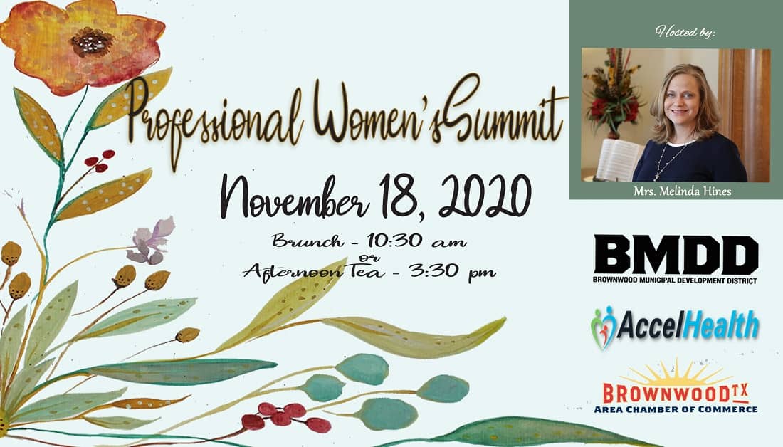 professional-womens-summit-hosted-by-melinda-hines-2