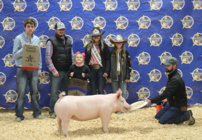 breeding-swine-champions