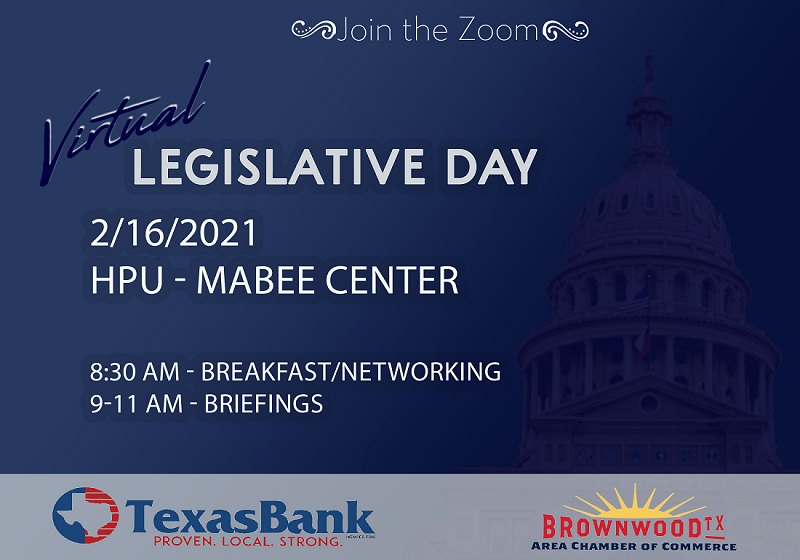 virtual-legislative-day-zoom