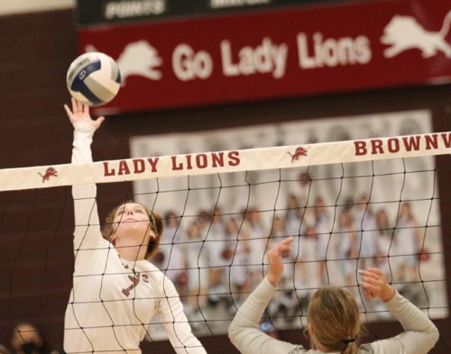 lady-lions-12