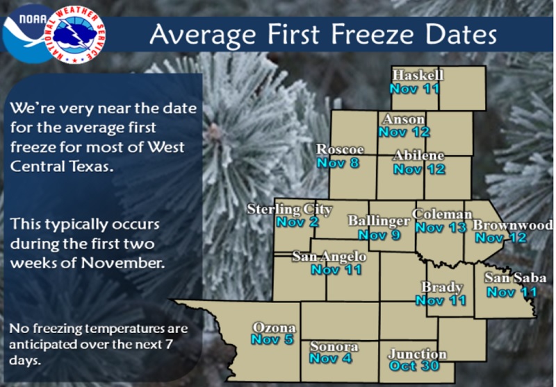 avg-first-freeze