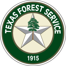 forest-service