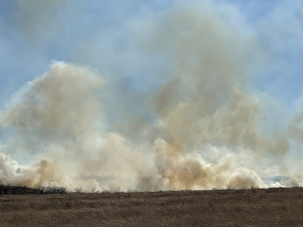 New Grass Fire Being Fought in Coleman County - Vimarsana News